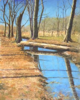 Teresa T. Brunson - HIKING IN HUNTLEY MEADOWS