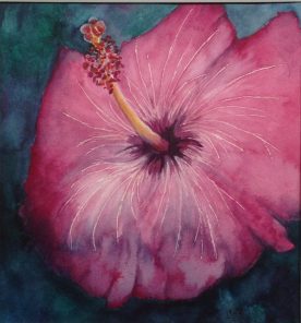 Claire Bentley - Hibiscus