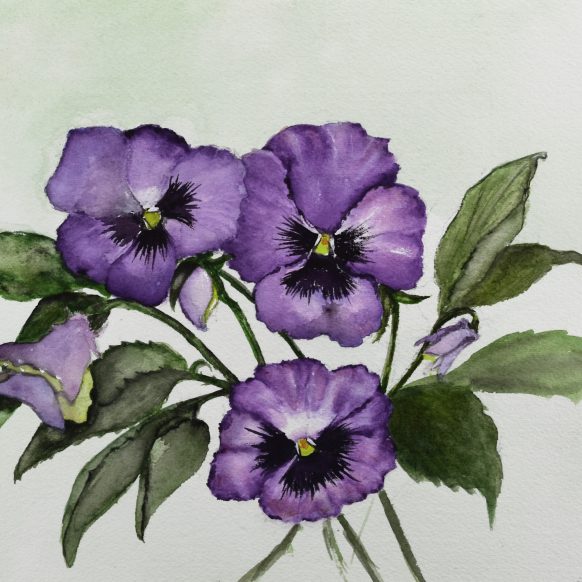 PATRICIA HAFKEMEYER - Watercolors - Loft Gallery - Occoquan, VA Art Gallery