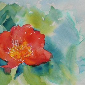 Janet Hansen Martinet - Coral Charm