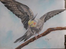 Deanna Boling - Bird on the Wing