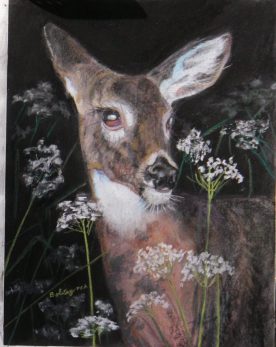 Deanna Boling - Deer in Flowers