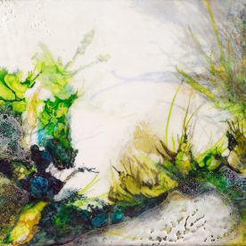 Kelpforest - Lesley Clarke