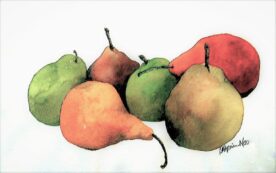 Katharine Taylor - Floating Pears