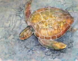 Lynn Martin - Sea Turtle Wisdom