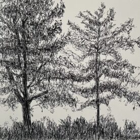 Susan Larimer - At the Arboretum