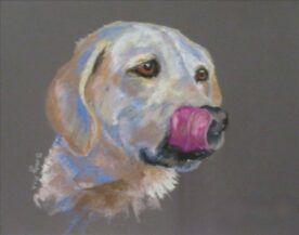 Deanna Bowling - Dog Days of August