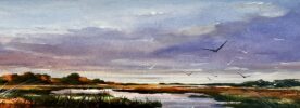 Mike Flynn - MD Eastern Shore