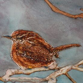 Janet Martinet - Carolina Wren