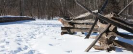 Rick Reda - March 2026